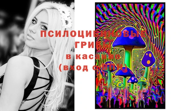 шишки Алзамай