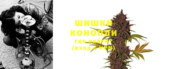 шишки Алзамай