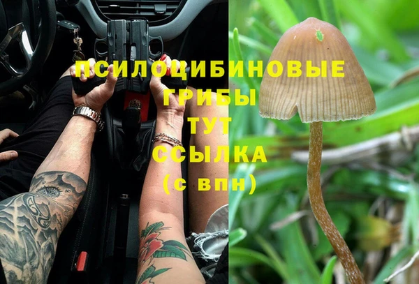 шишки Алзамай