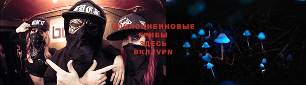 шишки Алзамай