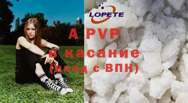 шишки Алзамай