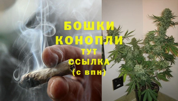 шишки Алзамай