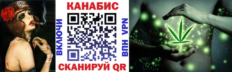 Каннабис MAZAR Сосновка